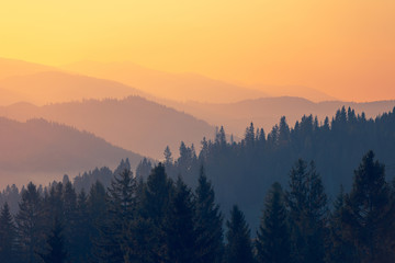 捷豹跑车价格及图片,捷豹跑车最新款